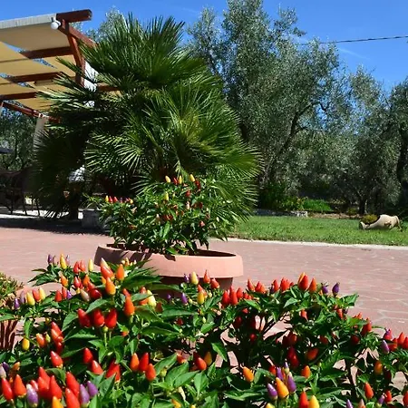 Casa Celestina